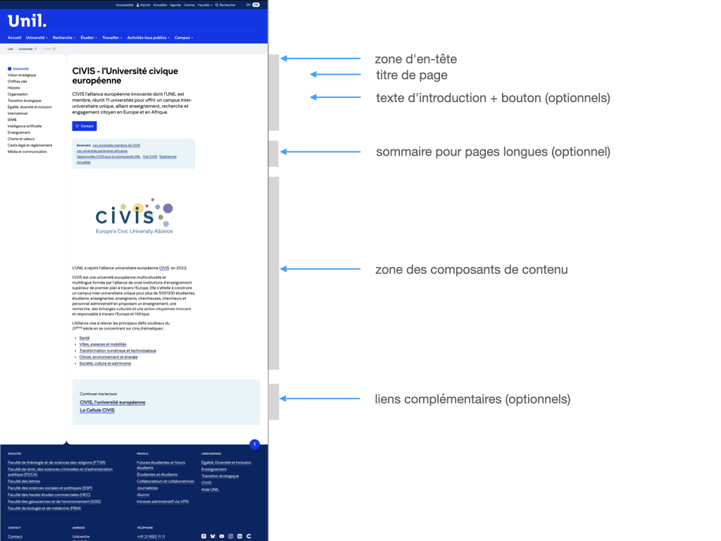 design-basic.png